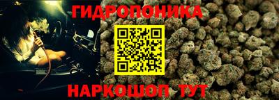 apvp Волжск