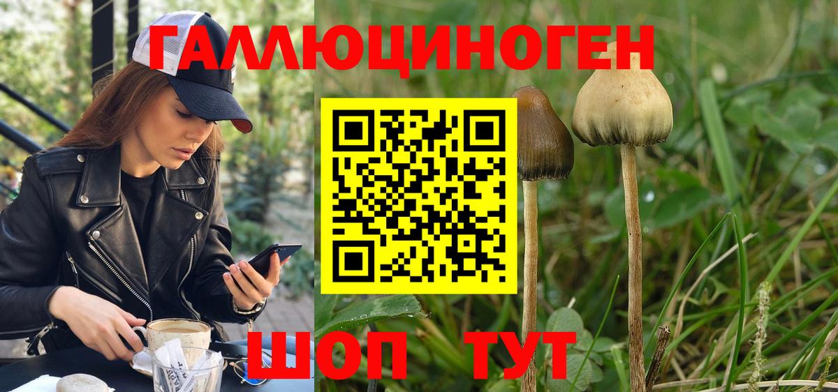 Псилоцибиновые грибы прущие грибы  Вход с VPN  Нижнеудинск 