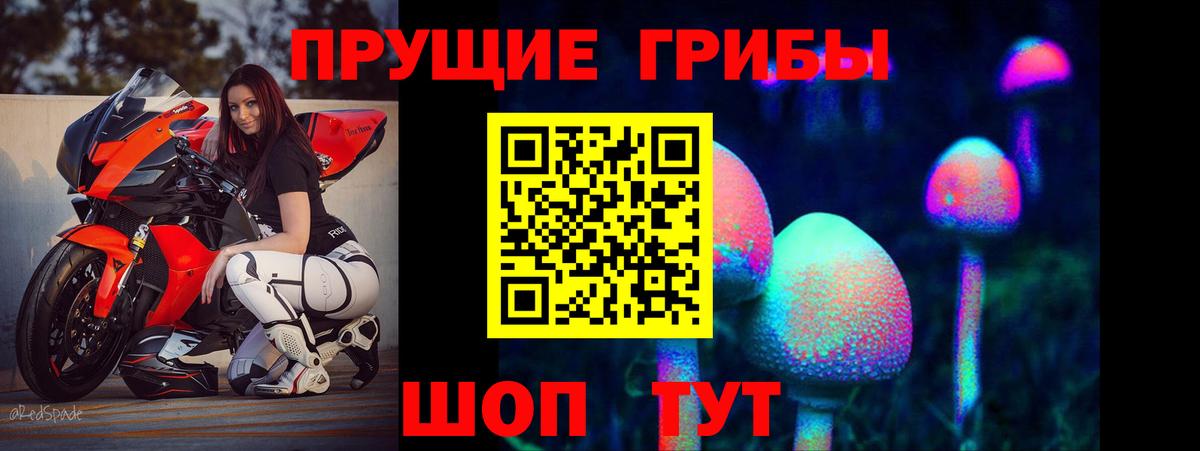 Псилоцибиновые грибы мухоморы Нижнеудинск